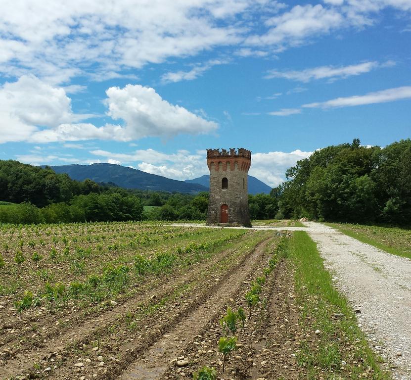 Agriturismo Casteldardo Guest House Trichiana Exterior photo